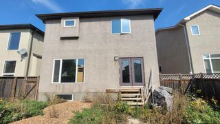 Photo 35: 18 Hazelnut Lane in Winnipeg: House for sale : MLS®# 202325991