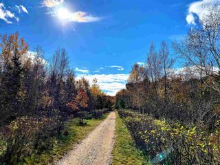 Photo 4: LOT 0 Aalders Avenue in New Minas: Kings County Vacant Land for sale (Annapolis Valley)  : MLS®# 202223092