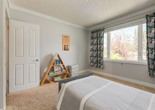 Photo 28: 5820 Bowwater Crescent NW in Calgary: Bowness Detached for sale : MLS®# A1238498