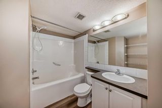 Photo 36: 214 2000 Applevillage Court SE in Calgary: Applewood Park Apartment for sale : MLS®# A2130391