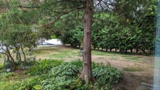 Photo 26: 40349 PARK Crescent in Squamish: Garibaldi Estates House for sale : MLS®# R2872453