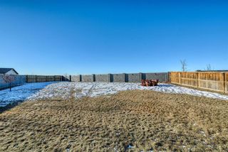 Photo 43: 27 SKYVIEW SPRINGS Cove NE in Calgary: Skyview Ranch Detached for sale : MLS®# A1053175