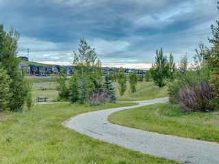 Photo 47: 6 SAGE MEADOWS Way NW in Calgary: Sage Hill Detached for sale : MLS®# A1009995