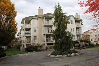 Photo 1: 404 20453 53 AVENUE in Langley: Langley City Condo for sale : MLS®# R2120225