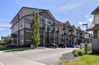 Photo 1: 421 117 Copperpond Common SE in Calgary: Copperfield Apartment for sale : MLS®# A2141313
