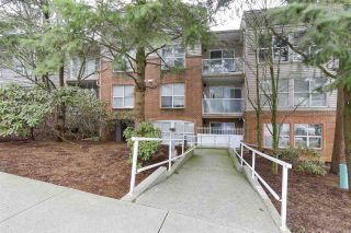 Photo 1: 101 4181 NORFOLK Street in Burnaby: Central BN Condo for sale (Burnaby North)  : MLS®# R2147902