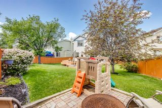 Photo 28: 251 Coral Springs Circle NE in Calgary: Coral Springs Detached for sale : MLS®# A1233868