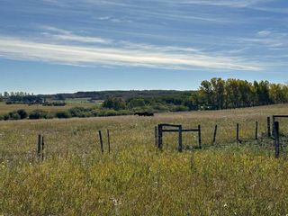 Photo 11: 2900069 Range Road 293: Rural Foothills County Residential Land for sale : MLS®# A2084170