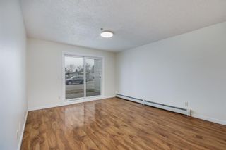 Photo 3: 2114 6224 17 Avenue SE in Calgary: Red Carpet Apartment for sale : MLS®# A2126709