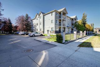 Photo 34: 205 7205 Valleyview Park SE in Calgary: Dover Apartment for sale : MLS®# A1152735
