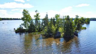 Photo 19: Lt 1 Canal Lake in Kawartha Lakes: Rural Carden Property for sale : MLS®# X5635905