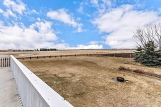 Photo 43: 253185 RGE RD 275 in Rural Rocky View County: Rural Rocky View MD Detached for sale : MLS®# C4236387