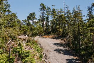 Photo 7: LOT B Hawkes Rd in Ucluelet: PA Ucluelet Land for sale (Port Alberni)  : MLS®# 911921