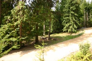 Photo 16: 11 6432 Sunnybrae Road in Tappen: Steamboat Shores Vacant Land for sale (Shuswap Lake)  : MLS®# 10155187