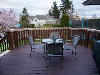 Photo 51: 2427 S ALDER S STREET in CAMPBELL RIVER: CR Willow Point House for sale (Campbell River)  : MLS®# 758339
