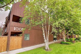 Main Photo: 203 1001 68 Avenue SW in Calgary: Kelvin Grove Apartment for sale : MLS®# A2126233