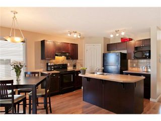 Photo 4: 102 AUTUMN Green SE in Calgary: Auburn Bay House for sale : MLS®# C4082157