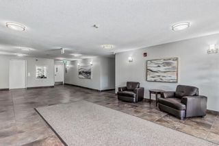 Photo 25: 115 2211 29 Street SW in Calgary: Killarney/Glengarry Apartment for sale : MLS®# A2105200