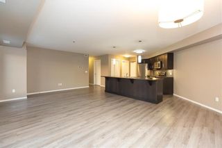 Photo 11: 327 25 Bridgeland Drive in Winnipeg: Bridgwater Forest Condominium for sale (1R)  : MLS®# 202401524