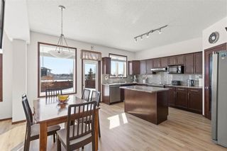 Photo 12: 176 Blue Sun Drive in Winnipeg: Sage Creek Residential for sale (2K)  : MLS®# 202304878