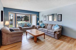 Photo 4: 31 Mchugh Place NE in Calgary: Mayland Heights Detached for sale : MLS®# A2053832