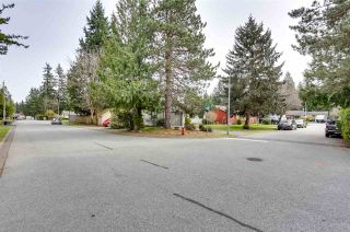 Photo 27: 4548 206B Street in Langley: Langley City House for sale : MLS®# R2552558