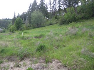 Photo 3: 2481 Squilax Anglemont Road # 2 in Lee Creek: Land Only for sale : MLS®# 10009047