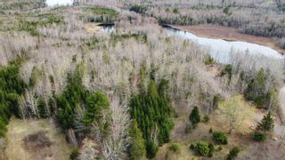 Photo 2: Lot Butler Road in Murphy Lake: Kings County Vacant Land for sale (Annapolis Valley)  : MLS®# 202304459