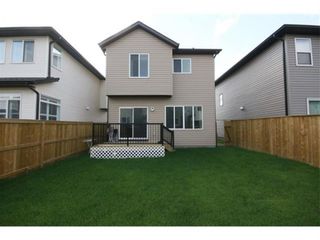 Photo 30: 249 Skyview Shores Manor NE in Calgary: Skyview Ranch Detached for sale : MLS®# A1040770