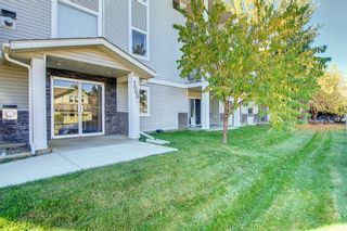 Photo 2: 205 7205 Valleyview Park SE in Calgary: Dover Apartment for sale : MLS®# A1152735
