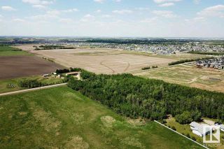 Photo 12: 49279 RR250: Rural Leduc County Rural Land/Vacant Lot for sale : MLS®# E4305377