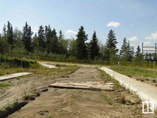 Photo 16: 12 Avenue & 13 Street: Cold Lake Vacant Lot/Land for sale : MLS®# E4317084