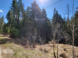 Photo 5: Lot 8 WALKLEY ROAD in Crawford Bay: Vacant Land for sale : MLS®# 2472338