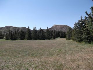 Photo 32: 274090 Highway 841: Rural Wheatland County Detached for sale : MLS®# A1231411