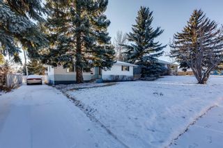 Photo 30: 1007 30th Avenue NW in Calgary: Cambrian Heights Detached for sale : MLS®# A1166487