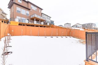 Photo 43: 53 Sherwood Circle NW in Calgary: Sherwood Detached for sale : MLS®# A2024286