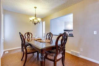 Photo 16: 14 Spring View SW in Calgary: Springbank Hill Detached for sale : MLS®# A2043920