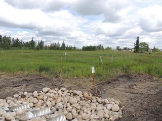 Photo 3: 3910 Highway 12: Lacombe Commercial Land for sale : MLS®# A1117833