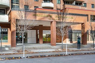 Photo 31: 811 738 3 Avenue SW in Calgary: Eau Claire Apartment for sale : MLS®# A2008852