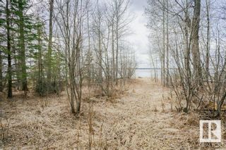 Photo 14: 22 Lakeshore Drive: Rural Wetaskiwin County Vacant Lot/Land for sale : MLS®# E4330516
