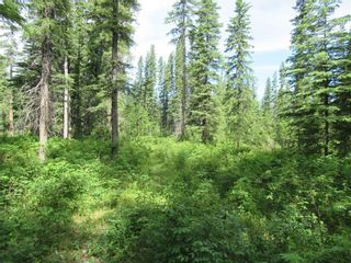 Photo 9: 70041 Highway 591: Rural Clearwater County Detached for sale : MLS®# C4305359