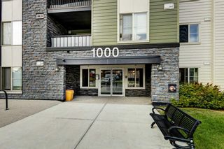 Photo 29: 1306 1317 27 Street SE in Calgary: Albert Park/Radisson Heights Apartment for sale : MLS®# A2079198