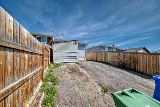 Photo 37: 59 Falchurch Road NE in Calgary: Falconridge Semi Detached (Half Duplex) for sale : MLS®# A2130839