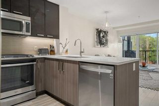Photo 11: 214 510 Edmonton Trail NE in Calgary: Bridgeland/Riverside Apartment for sale : MLS®# A2132949