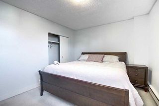 Photo 21: 402 1027 Cameron Avenue SW in Calgary: Lower Mount Royal Apartment for sale : MLS®# A2070576