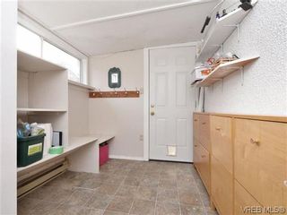 Photo 16: 4091 Borden St in VICTORIA: SE Lake Hill House for sale (Saanich East)  : MLS®# 720229
