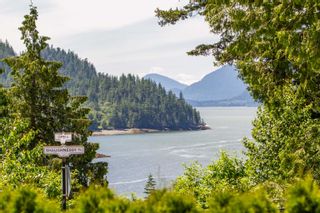 Photo 9: 594 COPPER Drive: Britannia Beach House for sale (Squamish)  : MLS®# R2772185