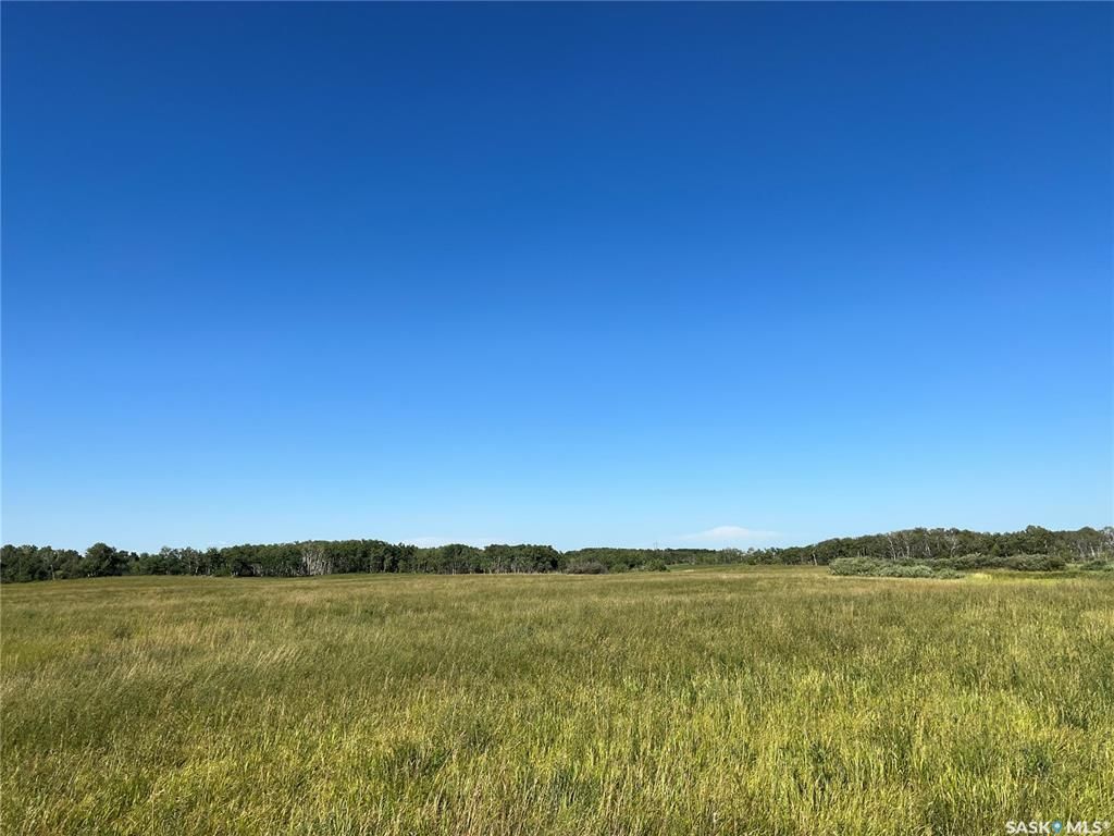 Main Photo: RM of Spyhill Land in Spy Hill: Farm for sale (Spy Hill Rm No. 152)  : MLS®# SK939388