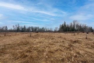 Photo 6: 3250 264 Street in Langley: Aldergrove Langley Agri-Business for sale : MLS®# C8049646