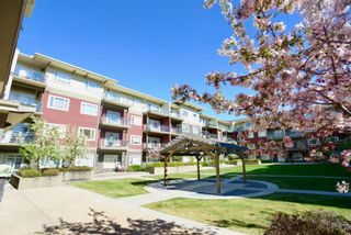 Photo 6: 334 11 Millrise Drive SW in Calgary: Millrise Apartment for sale : MLS®# A1217190